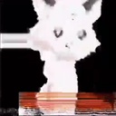 boygrl-girlpack icon