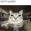 boykissers69-Silly_Cozy_Modpack icon