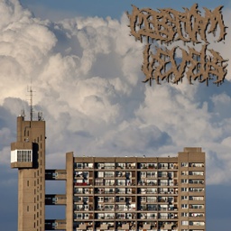 bro-Custom_Levels icon