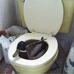 bruhm-Moho_Modpack icon