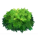 burrito_time-Bush icon