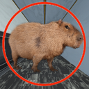 capybara7886-UltraCapybara icon