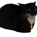 celontro-ThriftShopPack icon