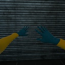 cheetodust-IPSICK2011 icon