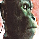 chowder908-Monkey_Monday_Music icon