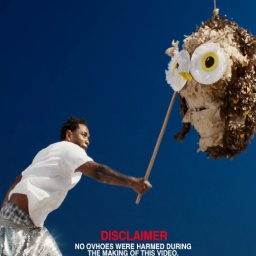 ciciisme-Not_Like_us icon