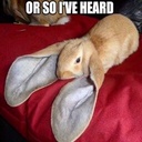 clovxrr-THE_modpack icon