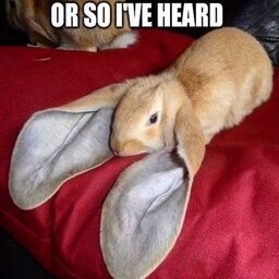 clovxrr-THE_modpack icon