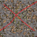 coemt-ProtectYourSeed icon