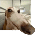 companialetala-CompaniaLetalaModpack icon