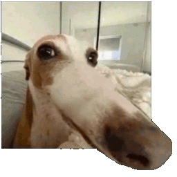 companialetala-CompaniaLetalaModpack icon