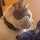 comradetaco-TacoTV icon