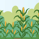 corncobs-Corn_Patch icon