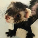 cowboyfaun-cowboys_suits_for_friends icon