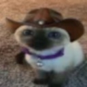 craftablescience-fnv_players_modpack icon