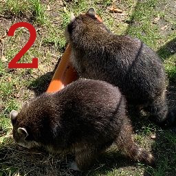 damecube-DamecubePosters icon