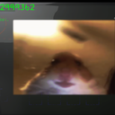 darmuh-darmuhsTerminalVideos icon