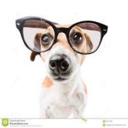 ded_team-TheGroupPack icon