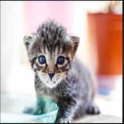 deepwoken-DeepestModpack icon