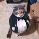 demaskeee-POSTERNYLOC icon