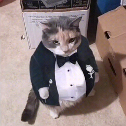 demaskeee-POSTERNYLOC icon