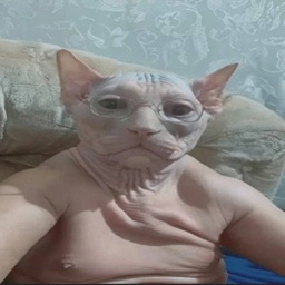 denis773-TestMod icon