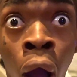 dinosaulo-Modpackdashopee icon