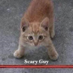 do_i_need_this-fish_condition icon