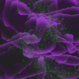 elendruin-Invested icon