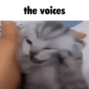 elpepe-pepeRandomSounds icon