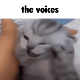 elpepe-pepeRandomSounds icon