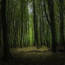 ely205-JosianeDeliveryShip icon