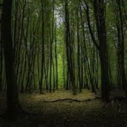 ely205-JosianeDeliveryShip icon