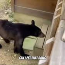 ely205-PetThatHorn icon