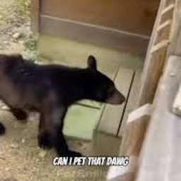 ely205-PetThatHorn icon