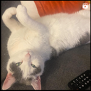 ely205-ShittySoundJohnEdit icon