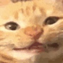 erf-erfs_modpack icon