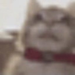 erin-erinsModpack1 icon