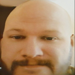 eusoumuitoburro-euestoucompletamentecalvo icon