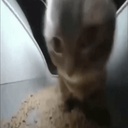 fatal-Nas_Lethal_Company_Pack icon