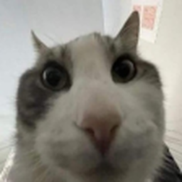 fatnuts-PEAKUSSY icon