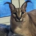 femboy_y_asociados-Clip_mamones icon