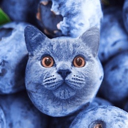 firestorm-amogie_mod icon