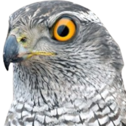 fischeBreitling-Fisch_Suite icon