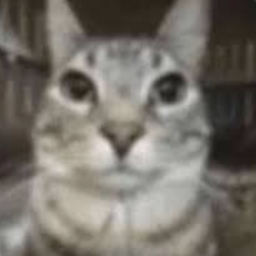 fishboy-Fishys_modpack icon