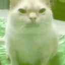 frens-MusicForFrens icon