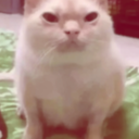 frens-SuitsForFrens icon