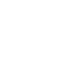 fyyy-InterstellarLogisticsOpt icon