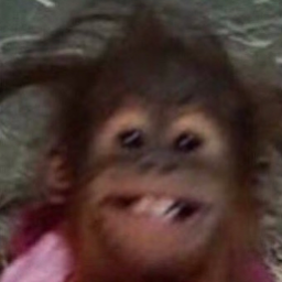 gang2-veryveryfunni icon