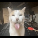 gangang-LobotomyCompany icon